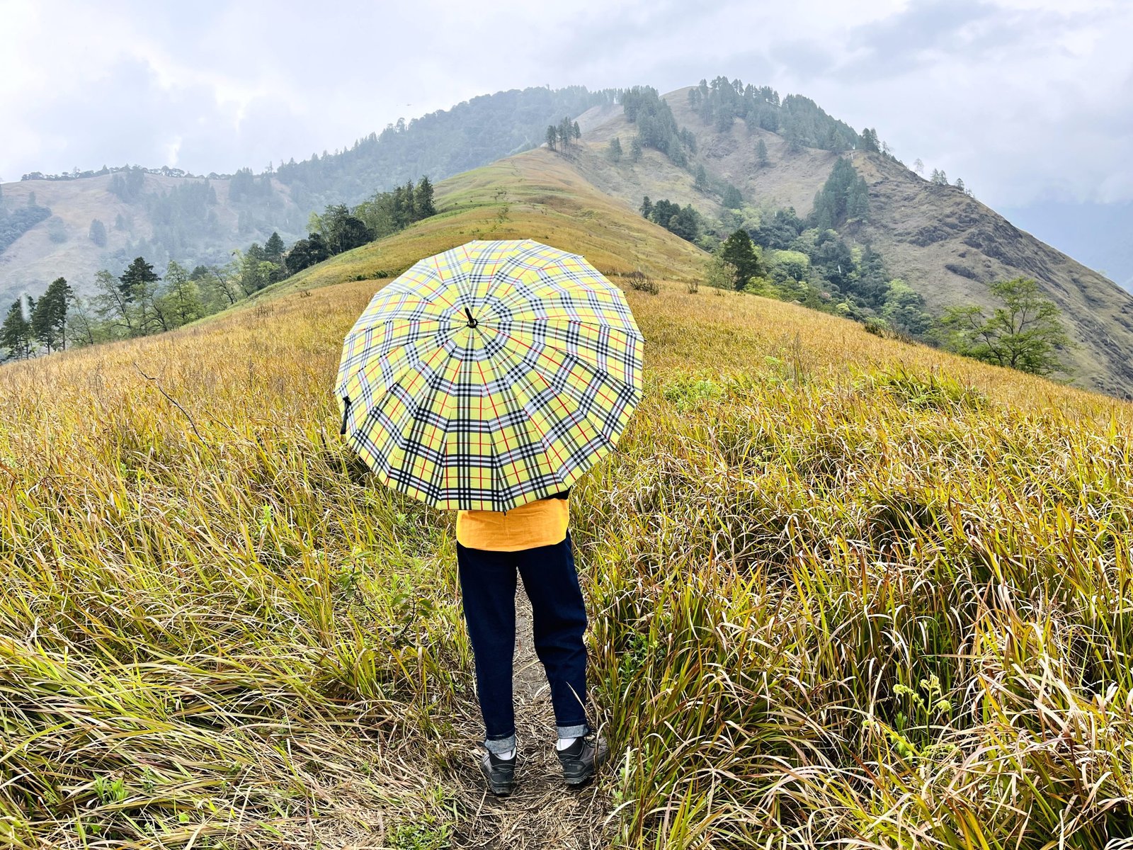 Anini-Arunachal